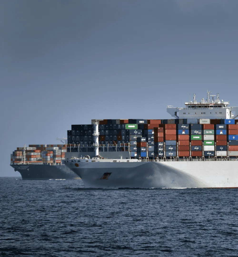 Güçlü Tedarik, Güvenli Gelecek